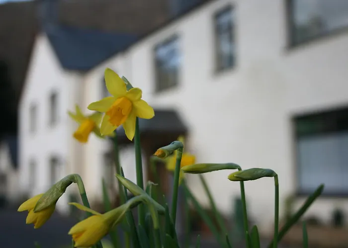 Padarn Apartment At Glanybala Holidays