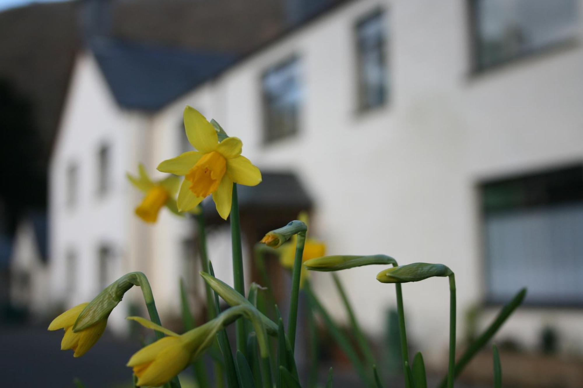 Padarn At Glanybala Holidays * Llanberis