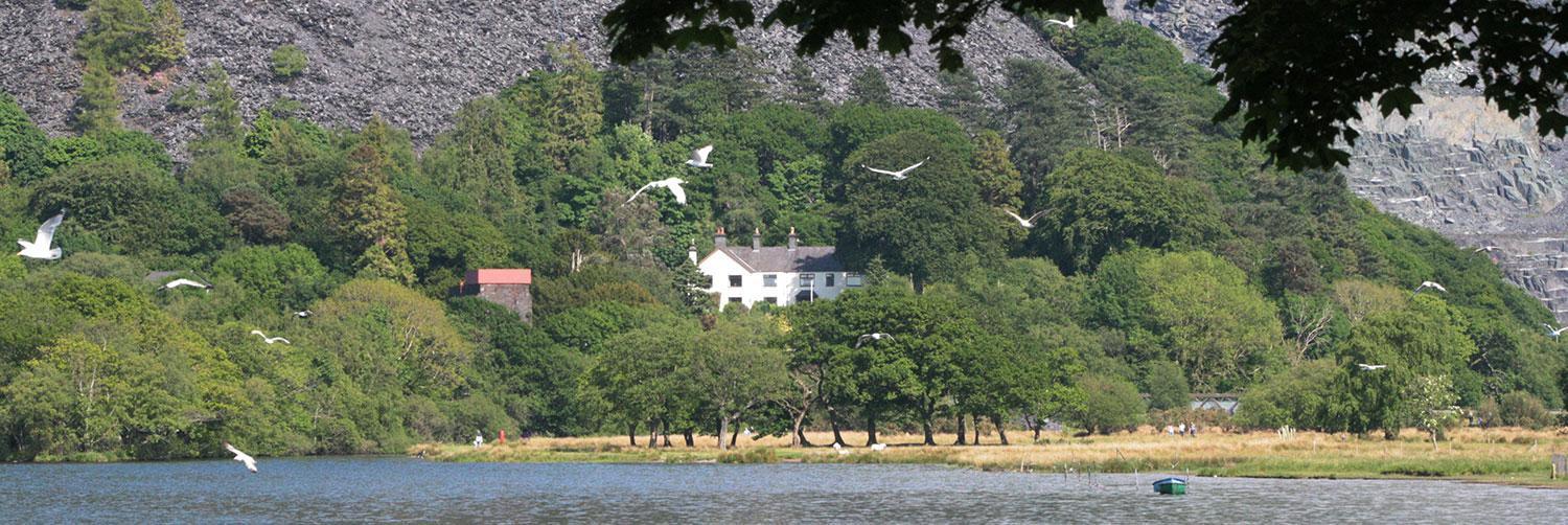 Padarn At Glanybala Holidays Llanberis